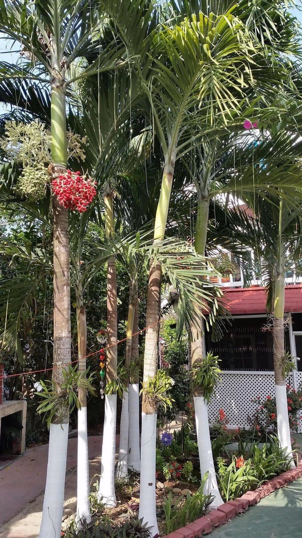 San Andres Ultd Inn Rnt # 30017 Exterior photo